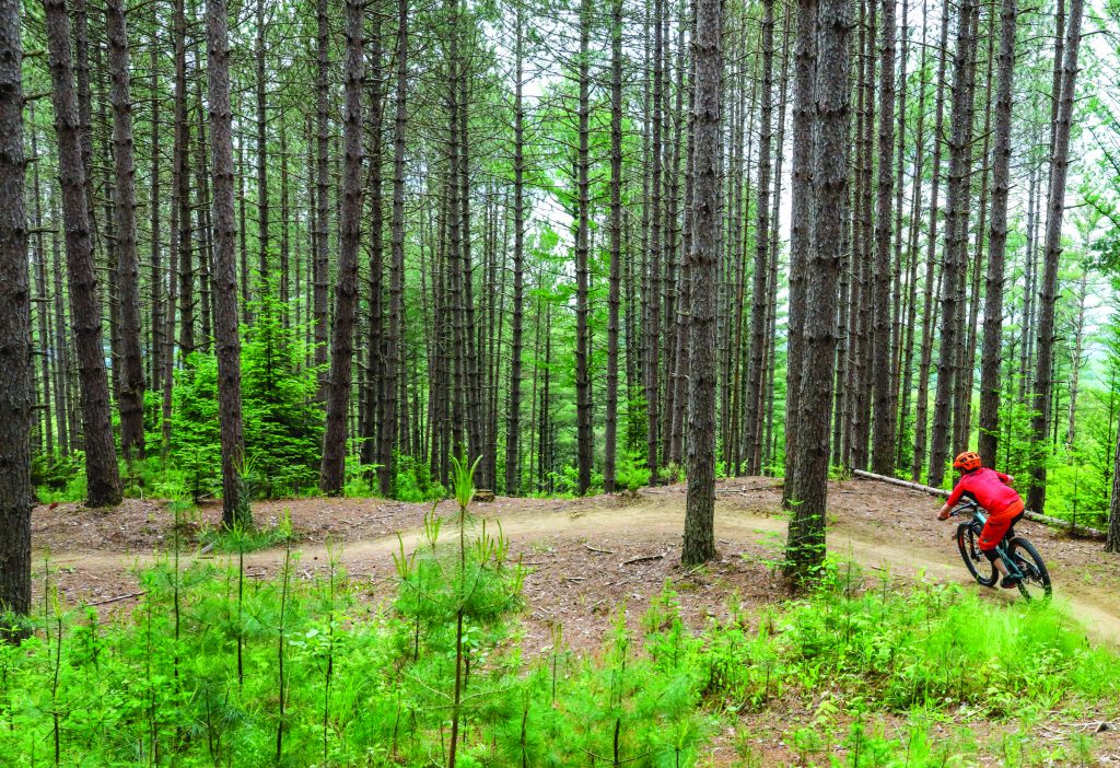 mountain_biking