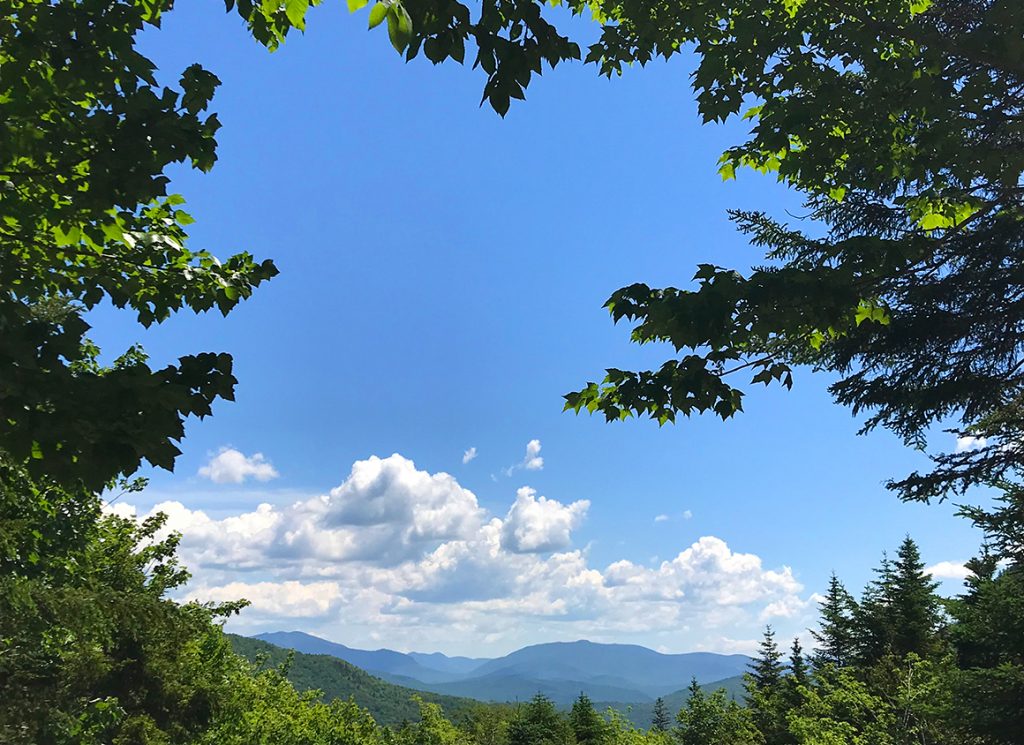 mountain-view View of mountains through trees