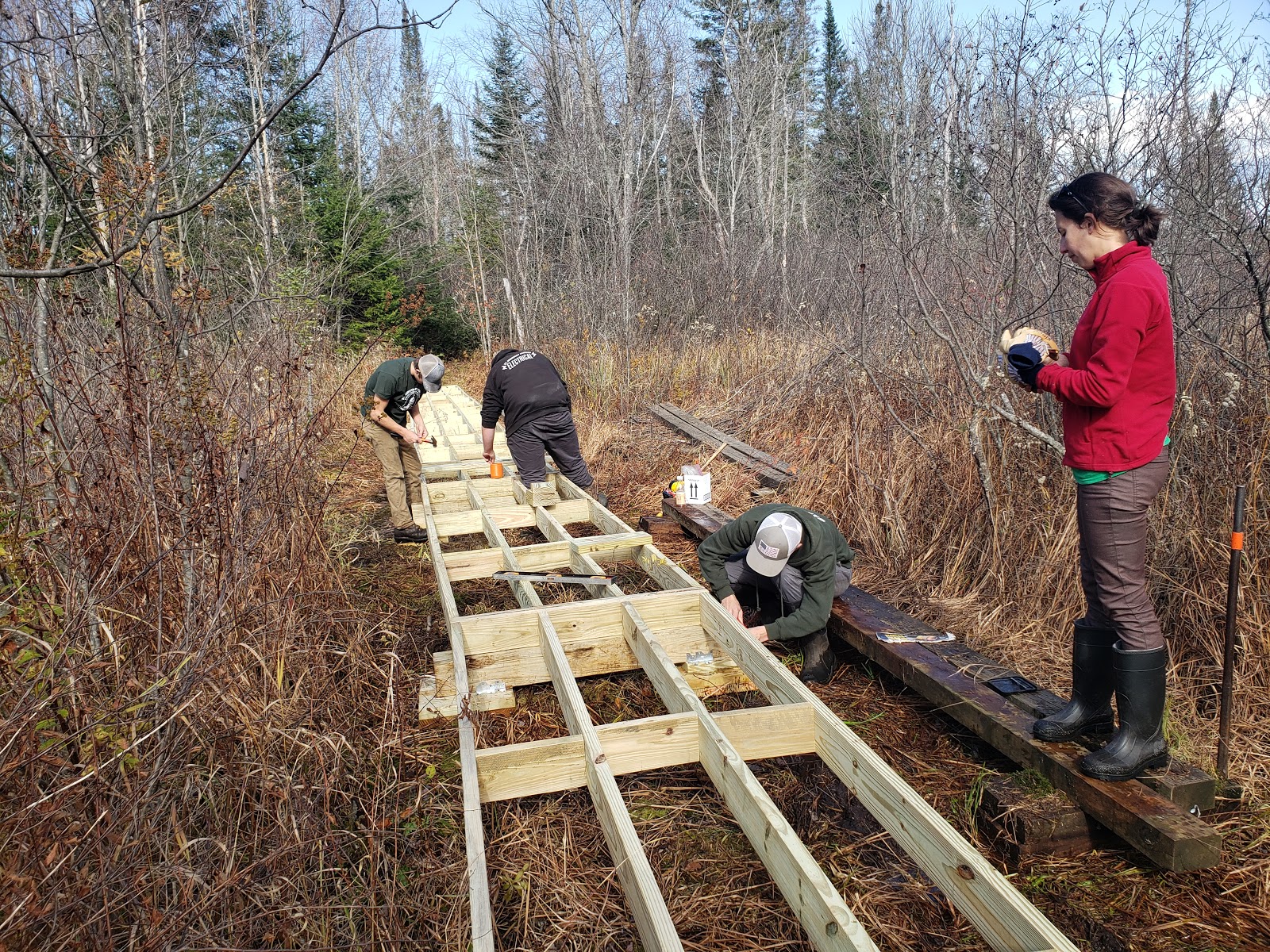 Students building a boardwalk