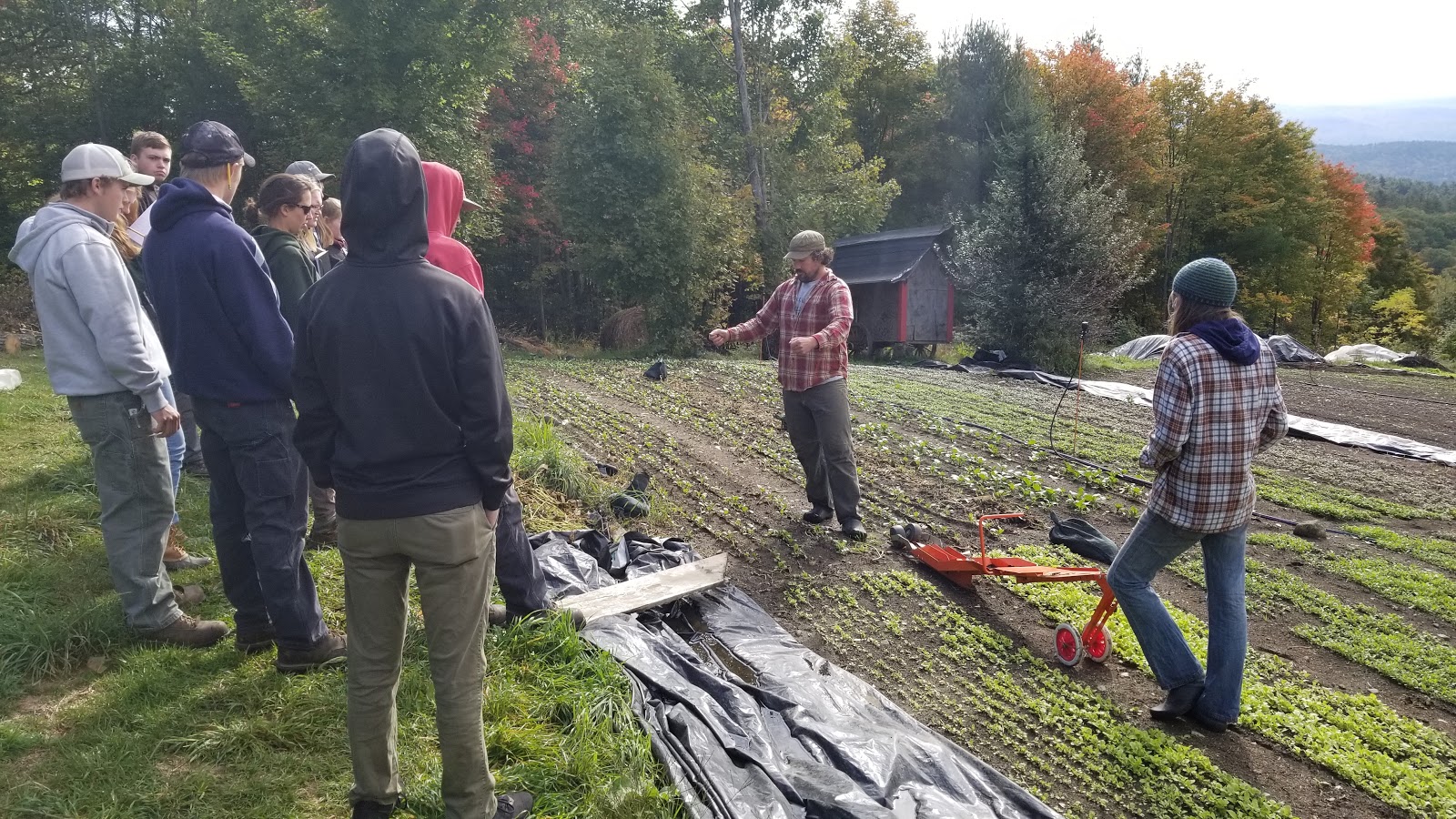 Students learning at the farm