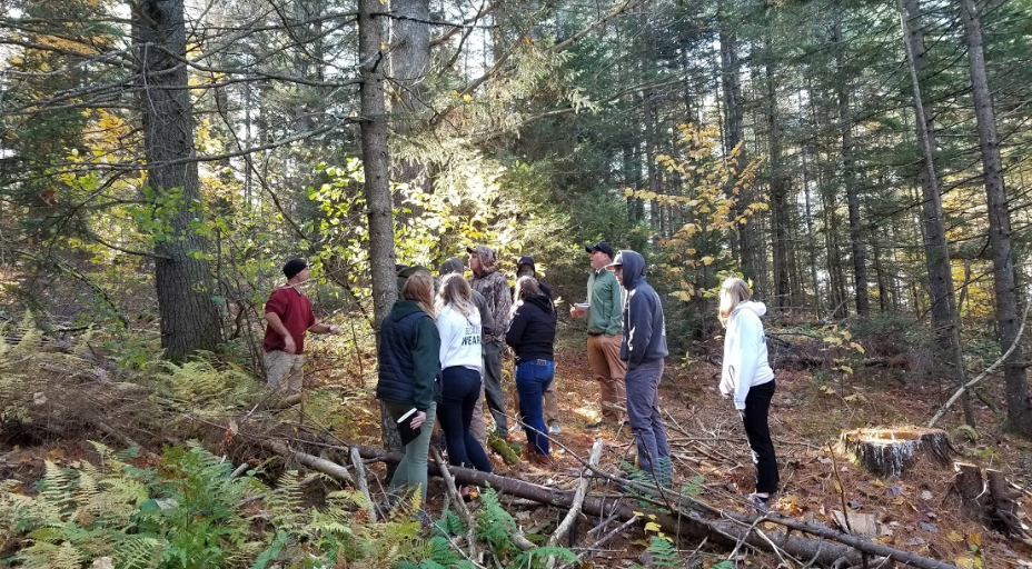 Students checking out logging activity
